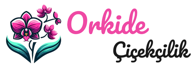 Rize ORKİDE Çiçekçilik | 0464 213 3313 - 0533 666 2515